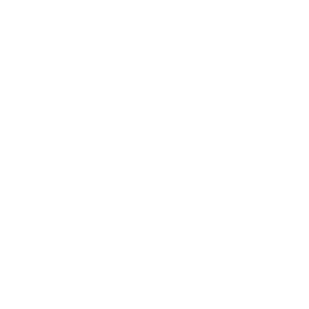 Namaari Logo Dark